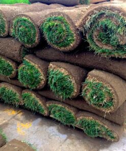 Alternative view of Buy Pallet of Sod (Covers 400-500 sq ft – $130)